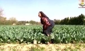 Desi Bhabhi Has Funny Affair In Fields