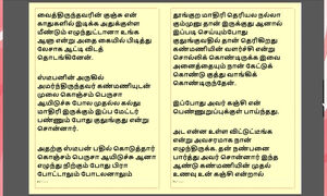 Kanmani's Birthday Gift - Part 2 - A Tamil Audio Sex Story