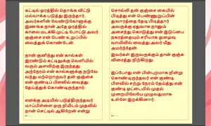 Kanmani's Birthday Gift - Part 3 - A Tamil Audio Sex Story